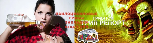 ГАЛЛЮЦИНОГЕННЫЕ ГРИБЫ Арсеньев