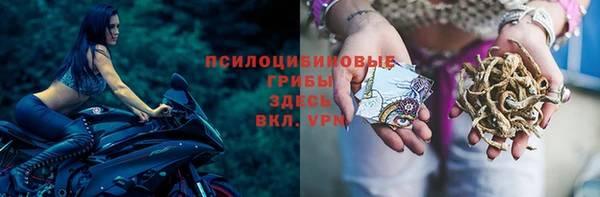 ГАЛЛЮЦИНОГЕННЫЕ ГРИБЫ Арсеньев