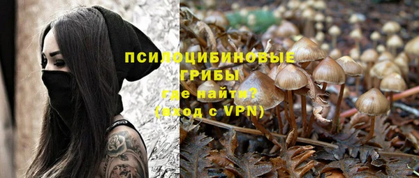 ГАЛЛЮЦИНОГЕННЫЕ ГРИБЫ Арсеньев