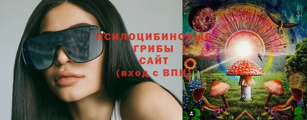 ГАЛЛЮЦИНОГЕННЫЕ ГРИБЫ Арсеньев